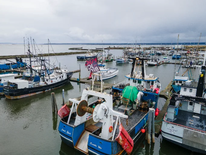 20221106-DJI_0662